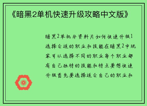 《暗黑2单机快速升级攻略中文版》